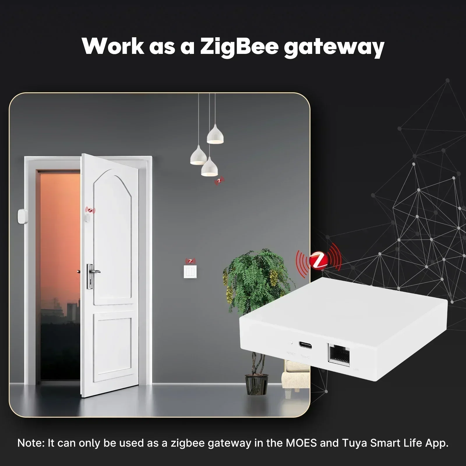 MOES Tuya Zigbee Matter Thread - Smart Home Registration のレビューと価格