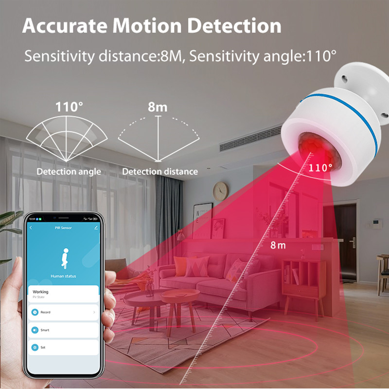 Tuya Matter Thread スマート PIR モー - Smart Home Nas のレビューと価格